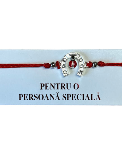 Mărțișor brățară cu șnur 12/set Argintiu