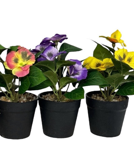 Ghiveci Panseluțe color 20cm