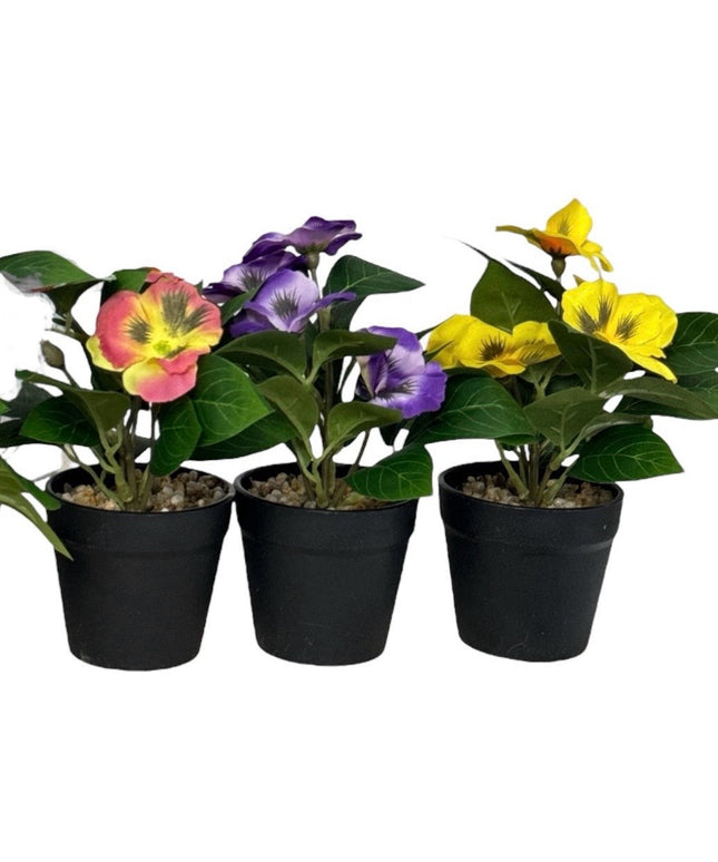 Ghiveci Panseluțe color 20cm