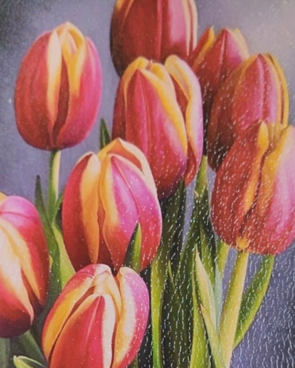Tablou cu ramă 32 x 21cm