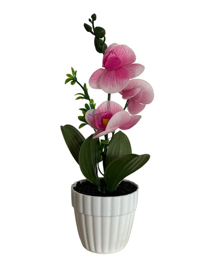 Ghiveci Orhidee color 25cm