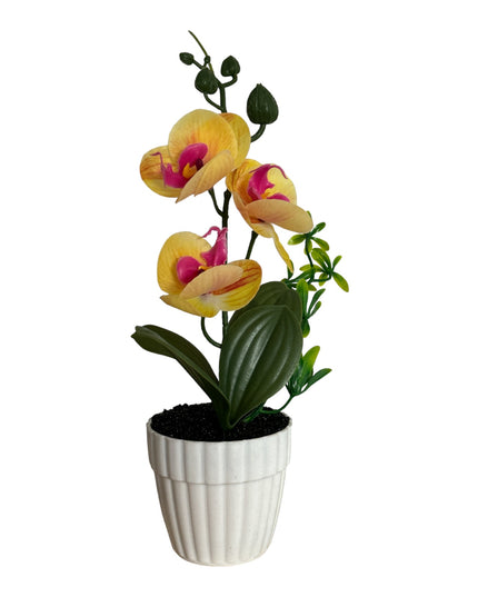 Ghiveci Orhidee color 25cm