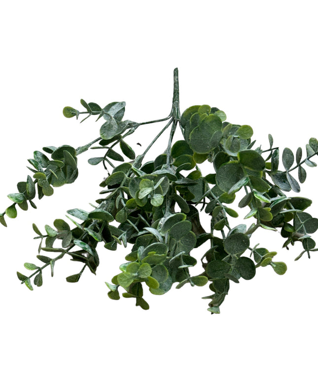 Buchet Eucalipt 7 fire 1025-28  33cm