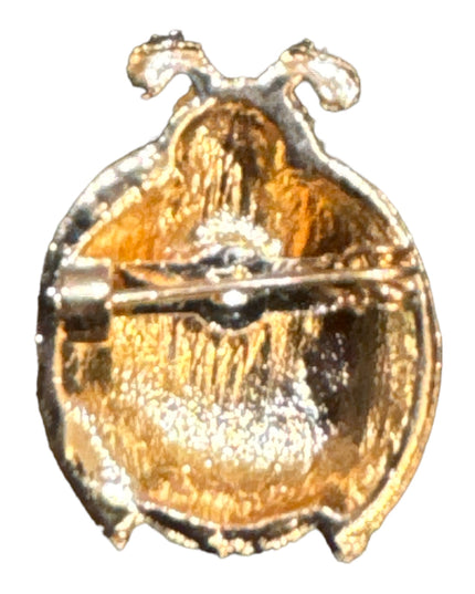 Mărțișor broșă metal Buburuză 12/set