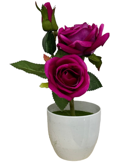 Ghiveci Trandafir  25cm