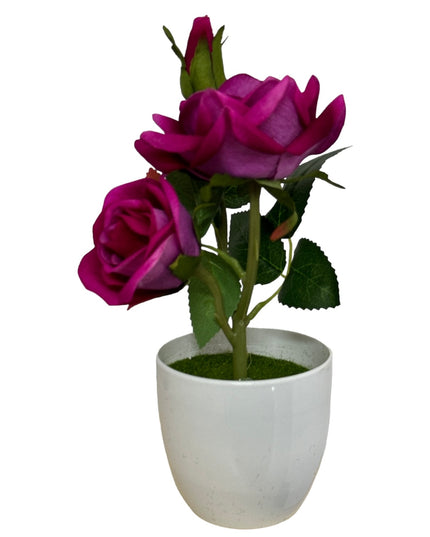 Ghiveci Trandafir  25cm