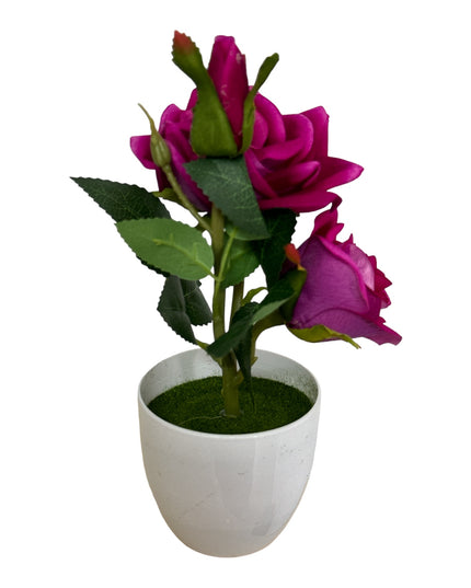 Ghiveci Trandafir  25cm