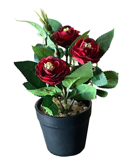 Ghiveci Rosa color 20cm