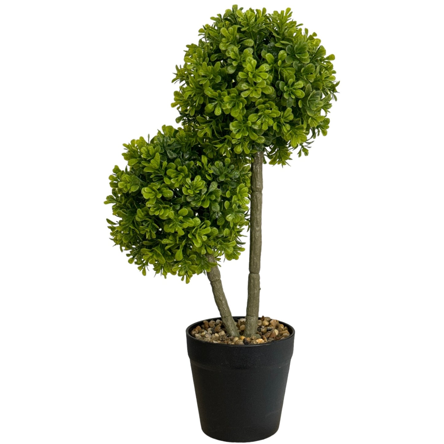 Ghiveci Buxus ornamental 40cm