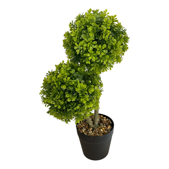 Ghiveci Buxus ornamental 40cm