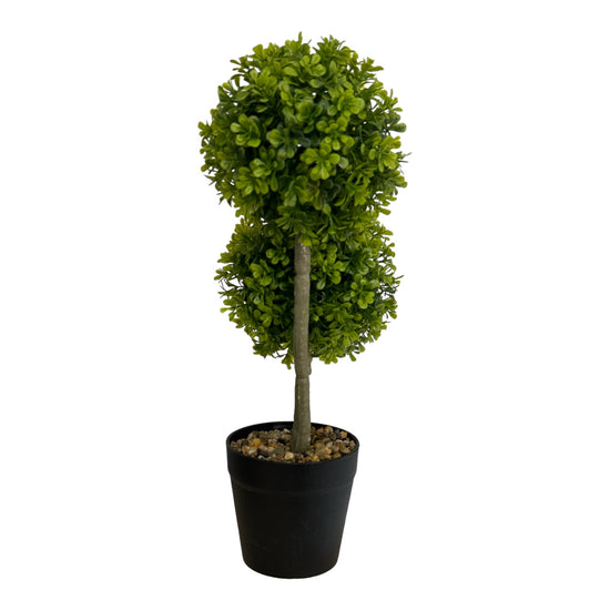 Ghiveci Buxus ornamental 40cm