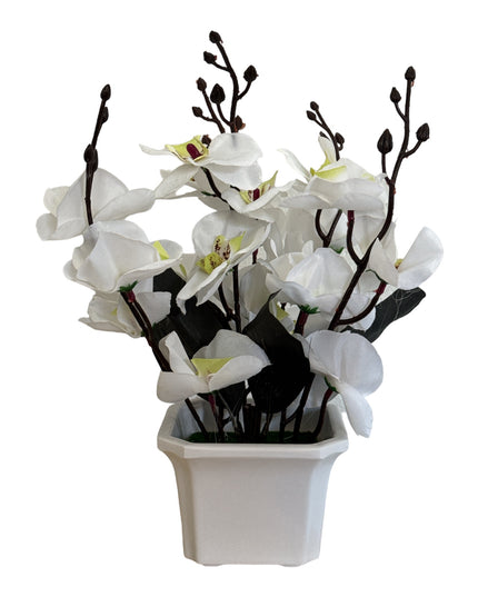 Ghiveci ornamental Orhidee 5 capete 30cm cod092-4