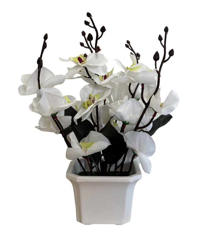 Ghiveci ornamental Orhidee 5 capete 30cm cod092-4