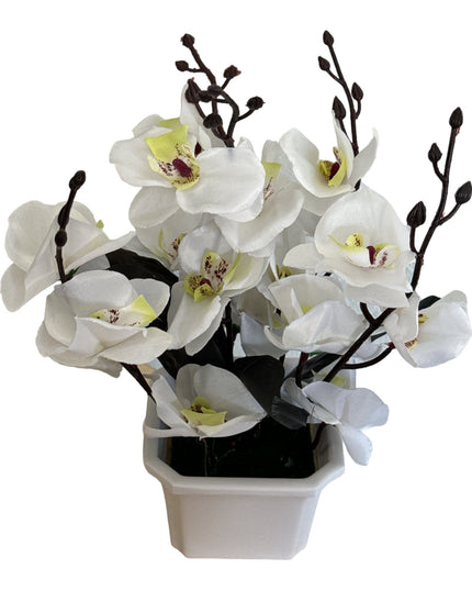 Ghiveci ornamental Orhidee 5 capete 30cm cod092-4