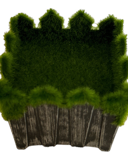 Ghiveci plin pentru aranjament Gard 9cm