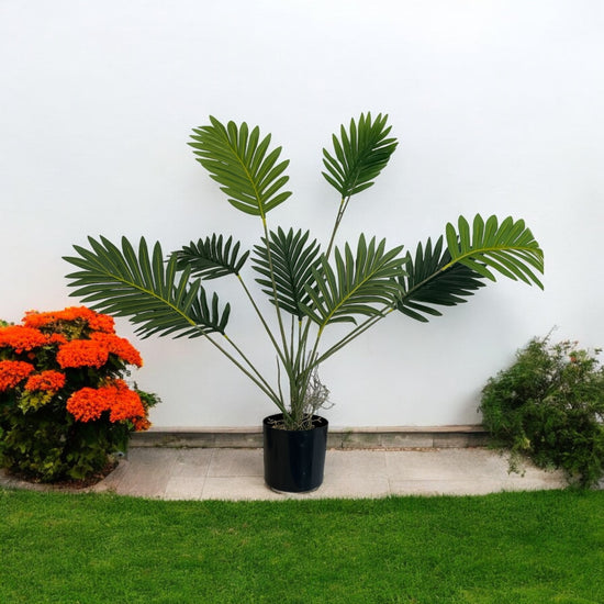 Ghiveci Palmier ornamental 80cm