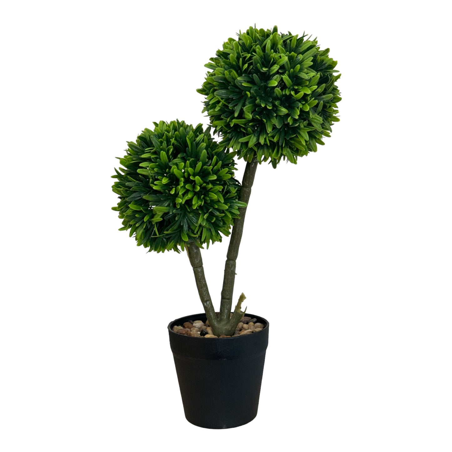 Ghiveci Buxus ornamental 40cm