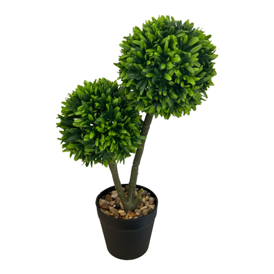 Ghiveci Buxus ornamental 40cm