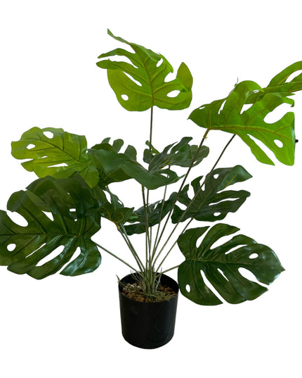 Ghiveci ornamental Monstera Deliciosa 60cm