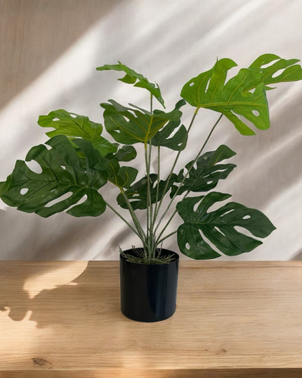 Ghiveci ornamental Monstera Deliciosa 60cm