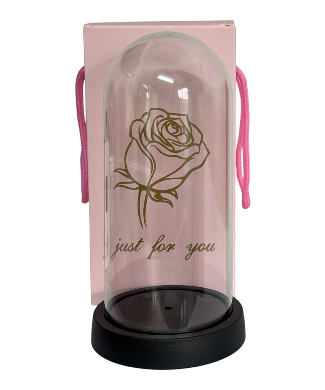 Cupolă din plastic cu pungă de cadou 22cm 1225-6