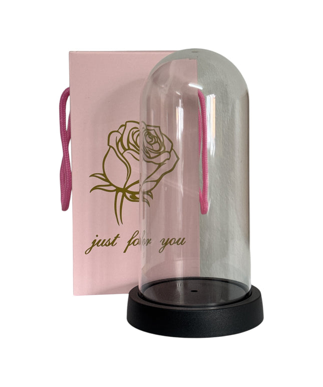 Cupolă din plastic cu pungă de cadou 22cm 1225-6