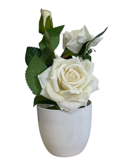 Ghiveci Trandafir  25cm
