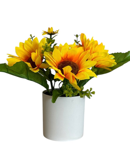 Ghiveci Floarea-Soarelui 20cm