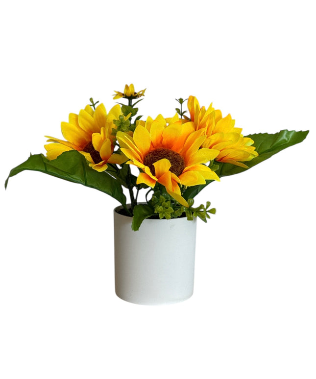 Ghiveci Floarea-Soarelui 20cm