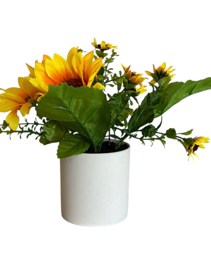 Ghiveci Floarea-Soarelui 20cm