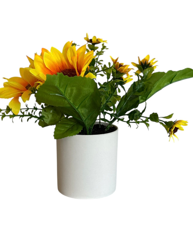 Ghiveci Floarea-Soarelui 20cm