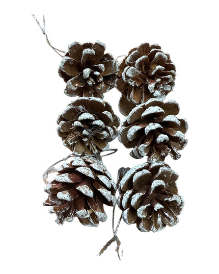 Conuri de brad natural 6/set