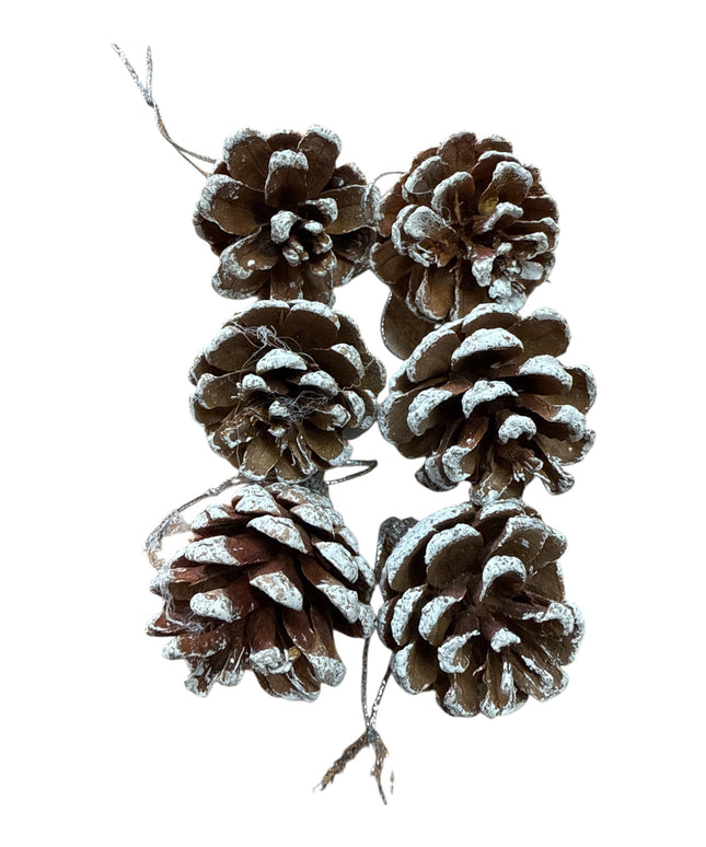 Conuri de brad natural 6/set