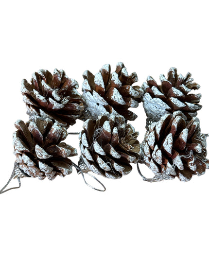 Conuri de brad natural 6/set