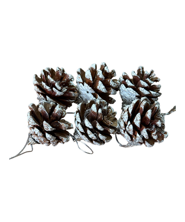 Conuri de brad natural 6/set