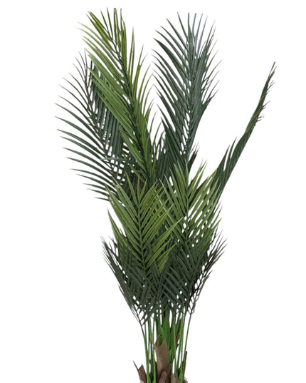 Ghiveci Palmier ornamental 120cm