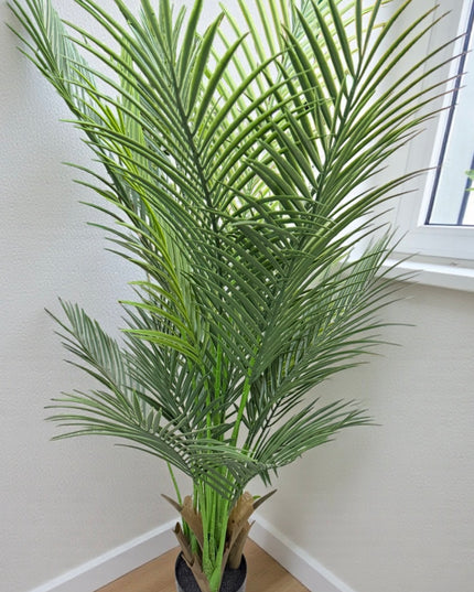 Ghiveci Palmier ornamental 120cm