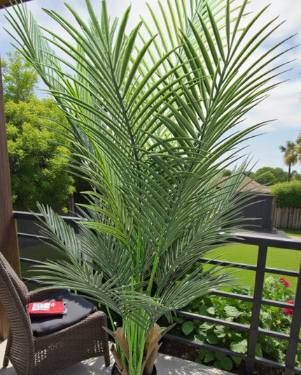 Ghiveci Palmier ornamental 120cm