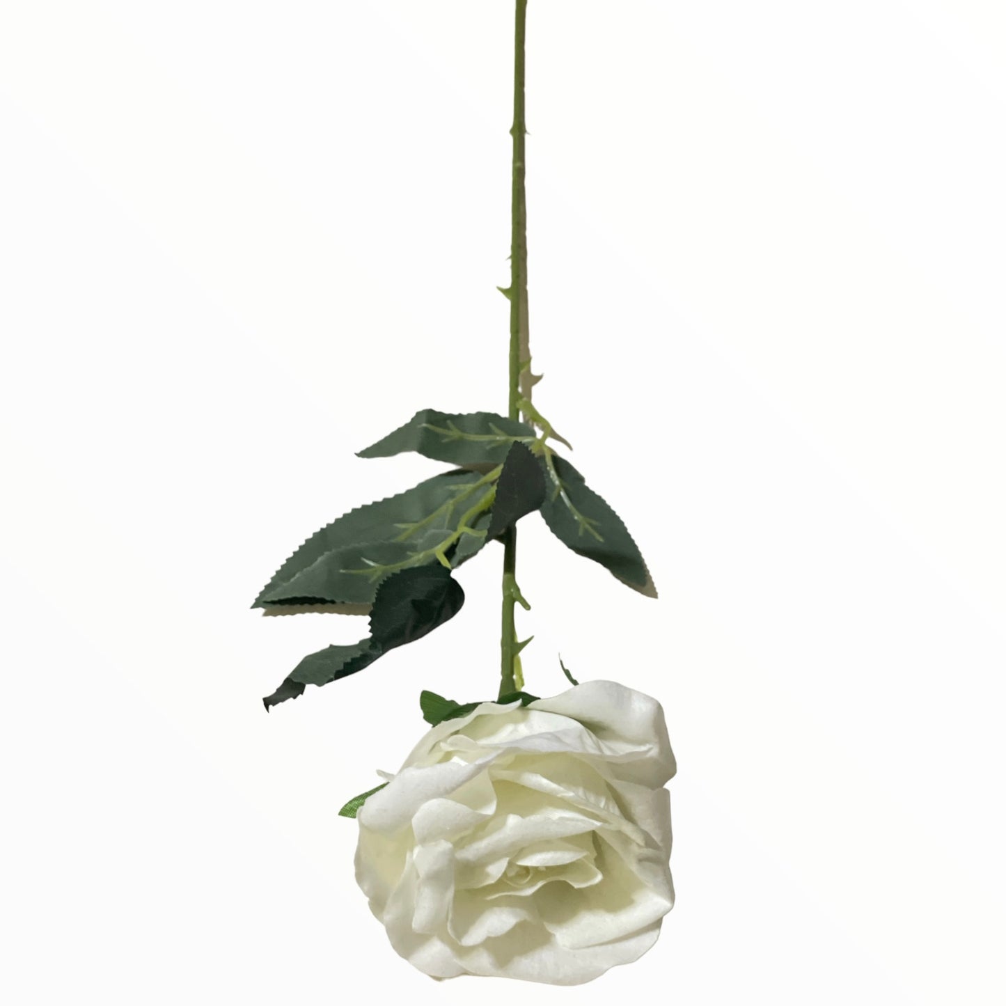 Trandafir color  60cm