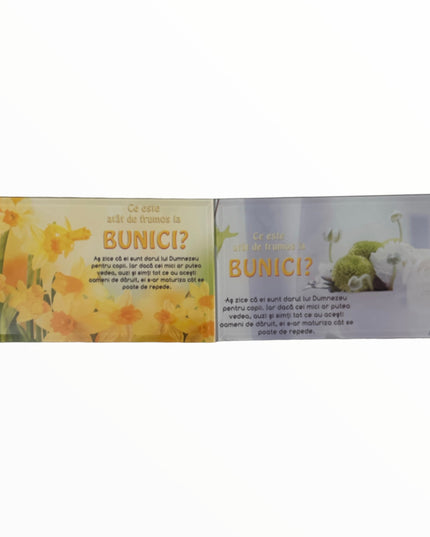 Tablou decorativ din sticlă cu mesaj pentru Bunici