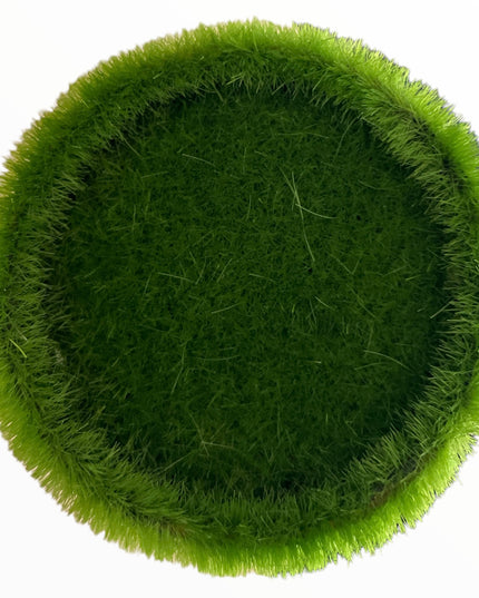 Ghiveci plin pentru aranjament rotund  6cm