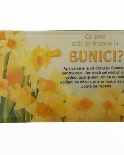 Tablou decorativ din sticlă cu mesaj pentru Bunici
