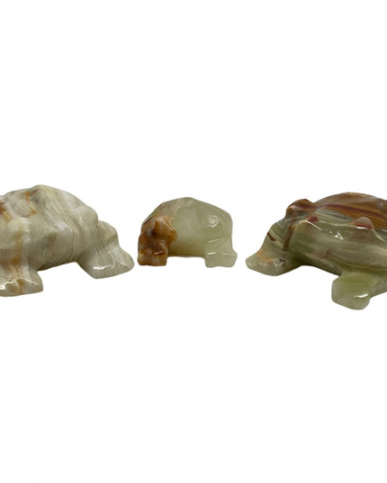 Set 3 broscuțe Onix