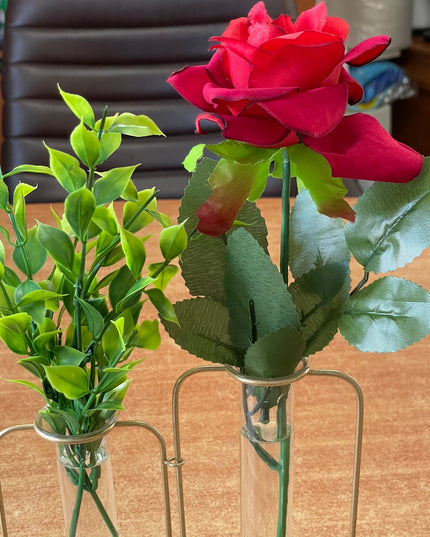 Suport metalic Hidroponic dublu cu eprubete