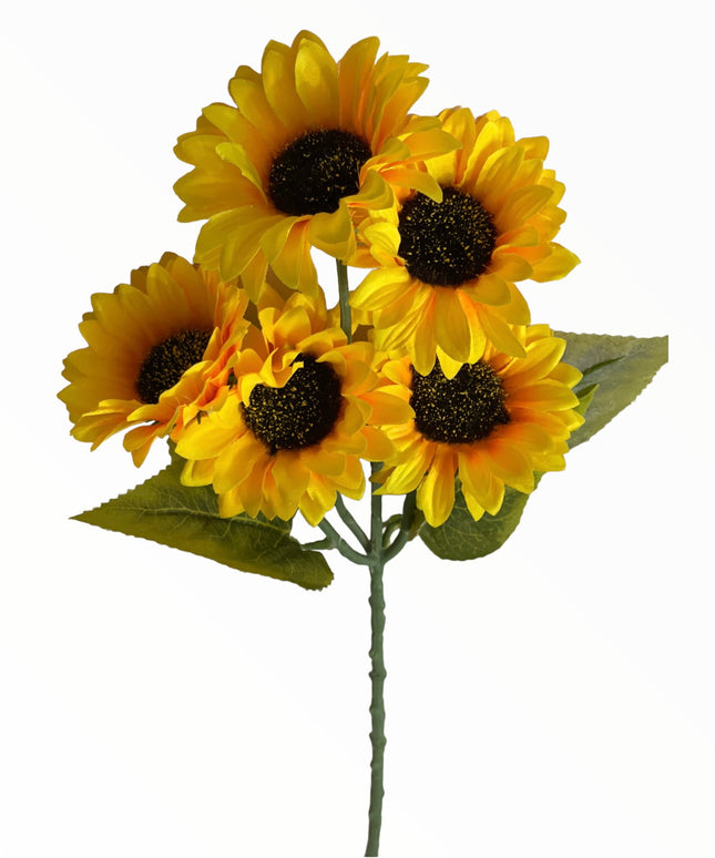 Floarea-Soarelui 5 capete. 55cm