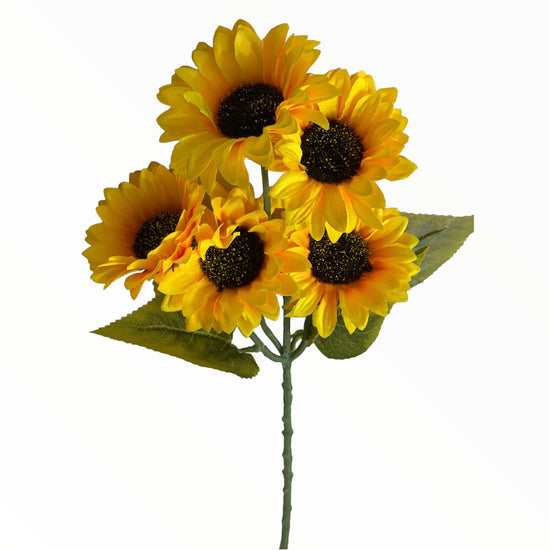 Floarea-Soarelui 5 capete. 55cm
