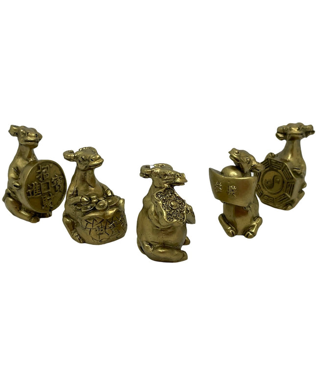 Bivol pe bani 5/set 5cm