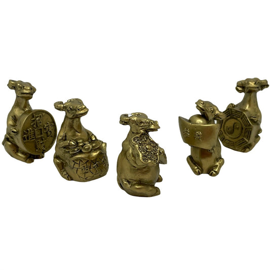 Bivol pe bani 5/set 5cm