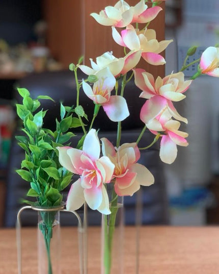 Suport metalic Hidroponic dublu cu eprubete