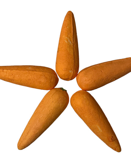 Set 5 morcovi decorativi 8cm